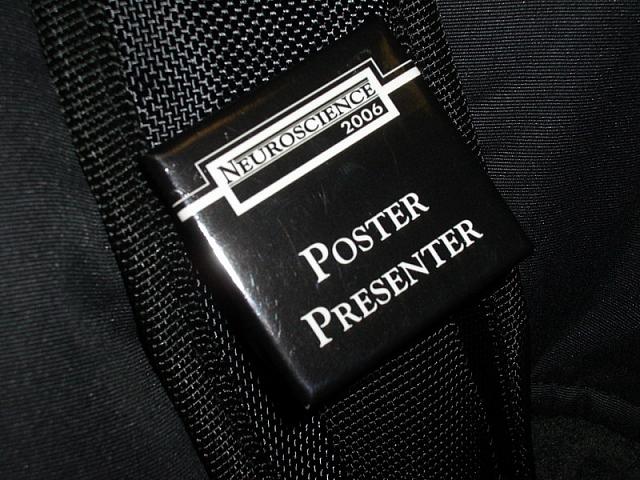 PICTURE 2 (badge)